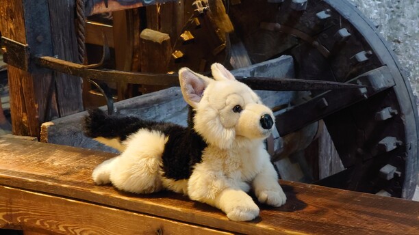 Eine Entdeckungsreise durch die Burg mit Burghund Hasso Familienführung Hasso und die geheimnisvolle Schattenburg